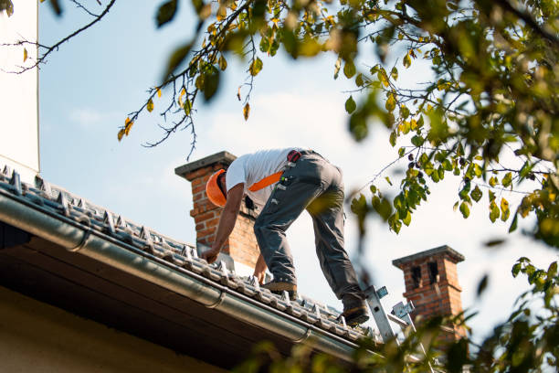 Best Flat Roof Repair Services  in Belleville, WI