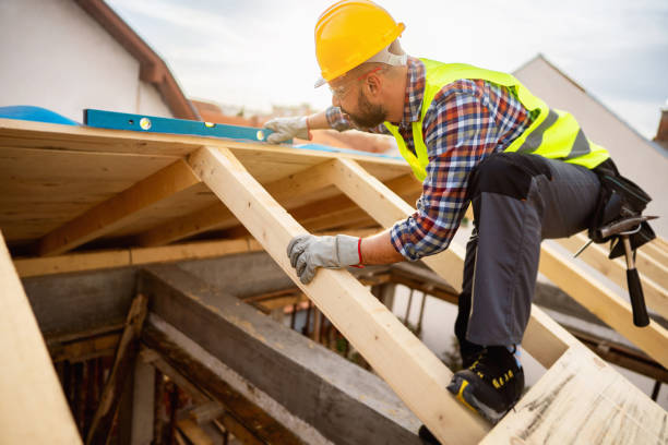 Best Gutter Installation and Roofing  in Belleville, WI